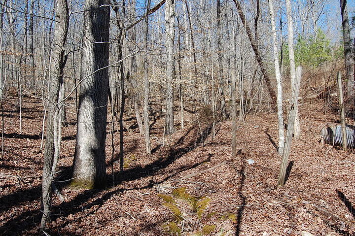 Property Photo:  5 Pickett Cross Road  TN 37397 