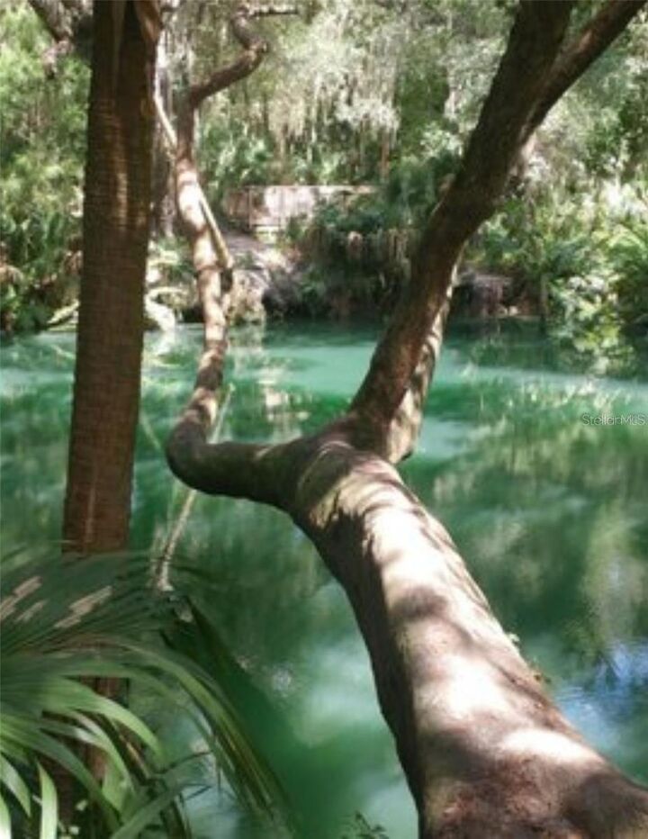 Property Photo:  120 Hibiscus Woods Court 4B  FL 32725 