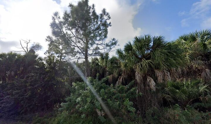 Property Photo:  26257 Brooks Road  FL 33955 