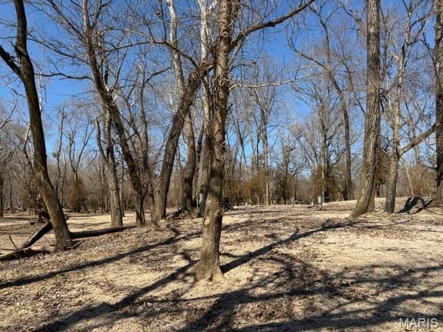 Property Photo:  Lot 39 Current River Rv Park  MO 63965 