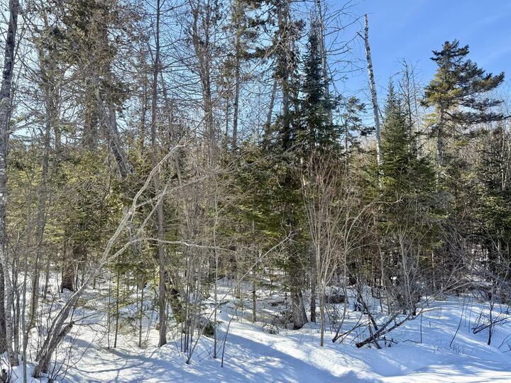 Property Photo:  8 Bowling Green Lane  ME 04915 