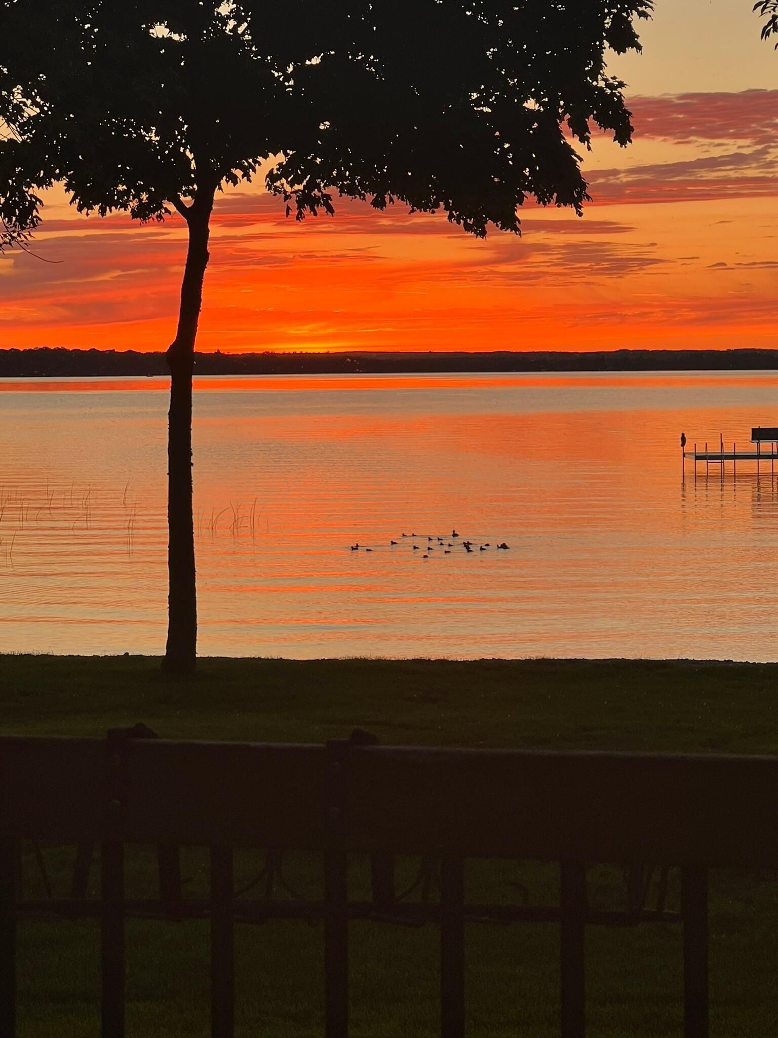 Property Photo:  11095 Ottertail Point Drive NW  MN 56633 