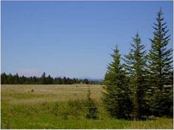 Range Road 55 — photo 1