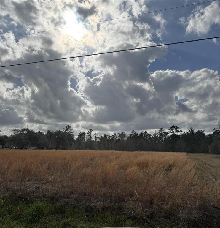 Property Photo: 0 Choupique Road LA 70665