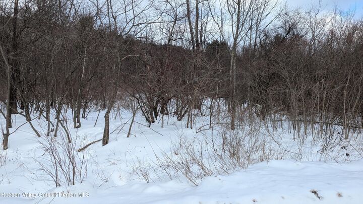 Property Photo:  0 High Peak Road Lot 61 &Amp 20  NY 12496 