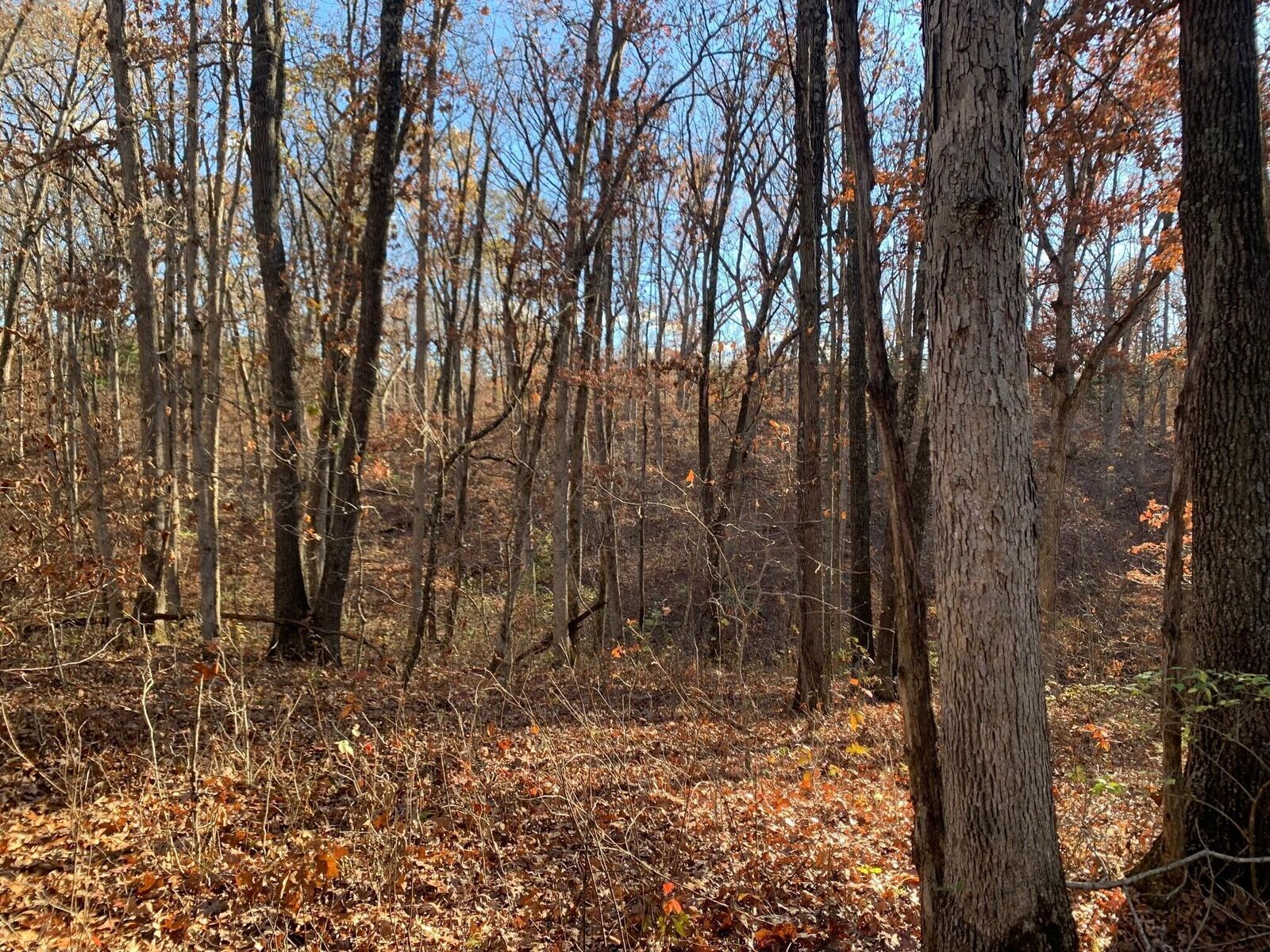 Property Photo:  9.04 Acres N Ridge Rd  MO 65256 