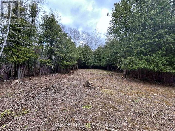 Property Photo:  00 Snowdons Corners Road  ON K0G 1N0 