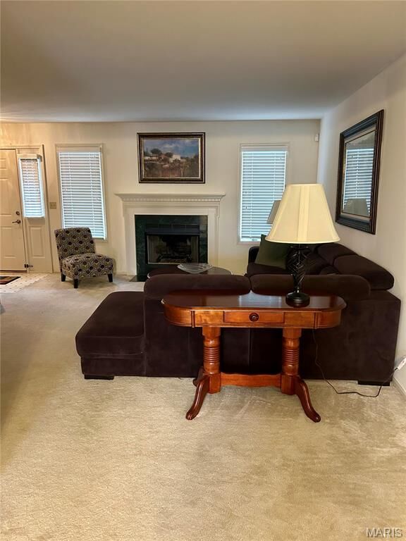 Property Photo:  4605 Sherman Park Drive 13E  MO 63303 