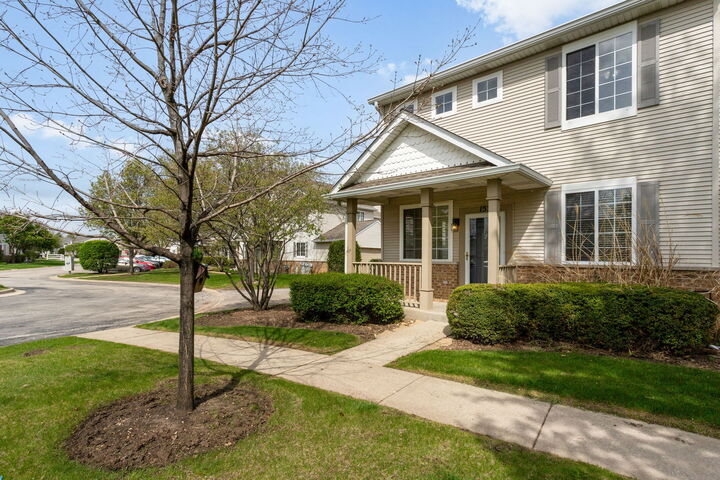 Property Photo:  153 Yarrow Court  IL 60446 