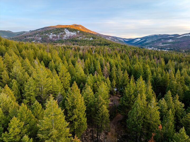 Property Photo: 260 Wild Horse Trail MT 59920