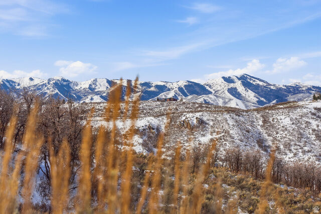 Property Photo:  2014 Canyon Gate Rd 73  UT 84098 