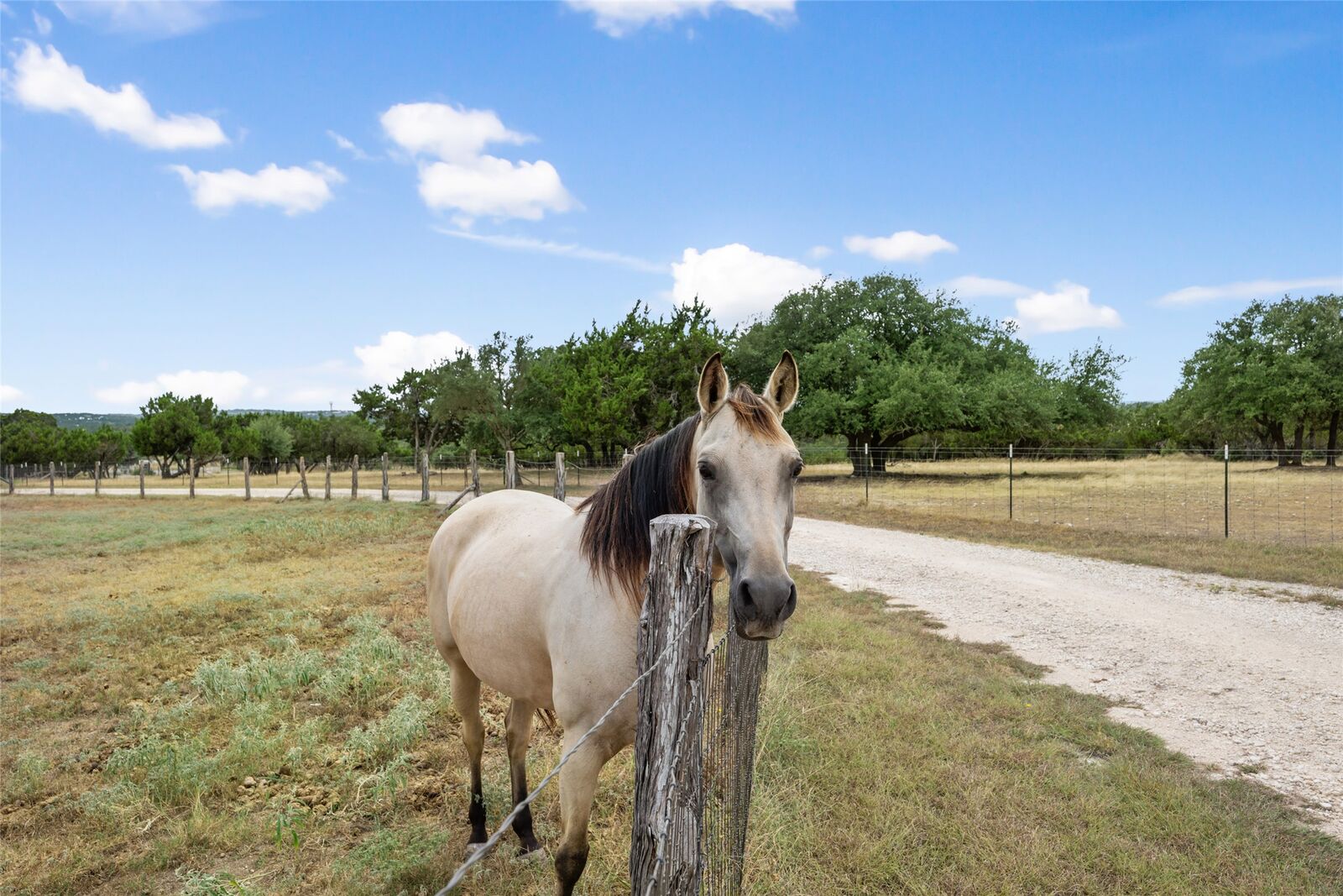 Property Photo:  2400 W Fitzhugh Road  TX 78620 