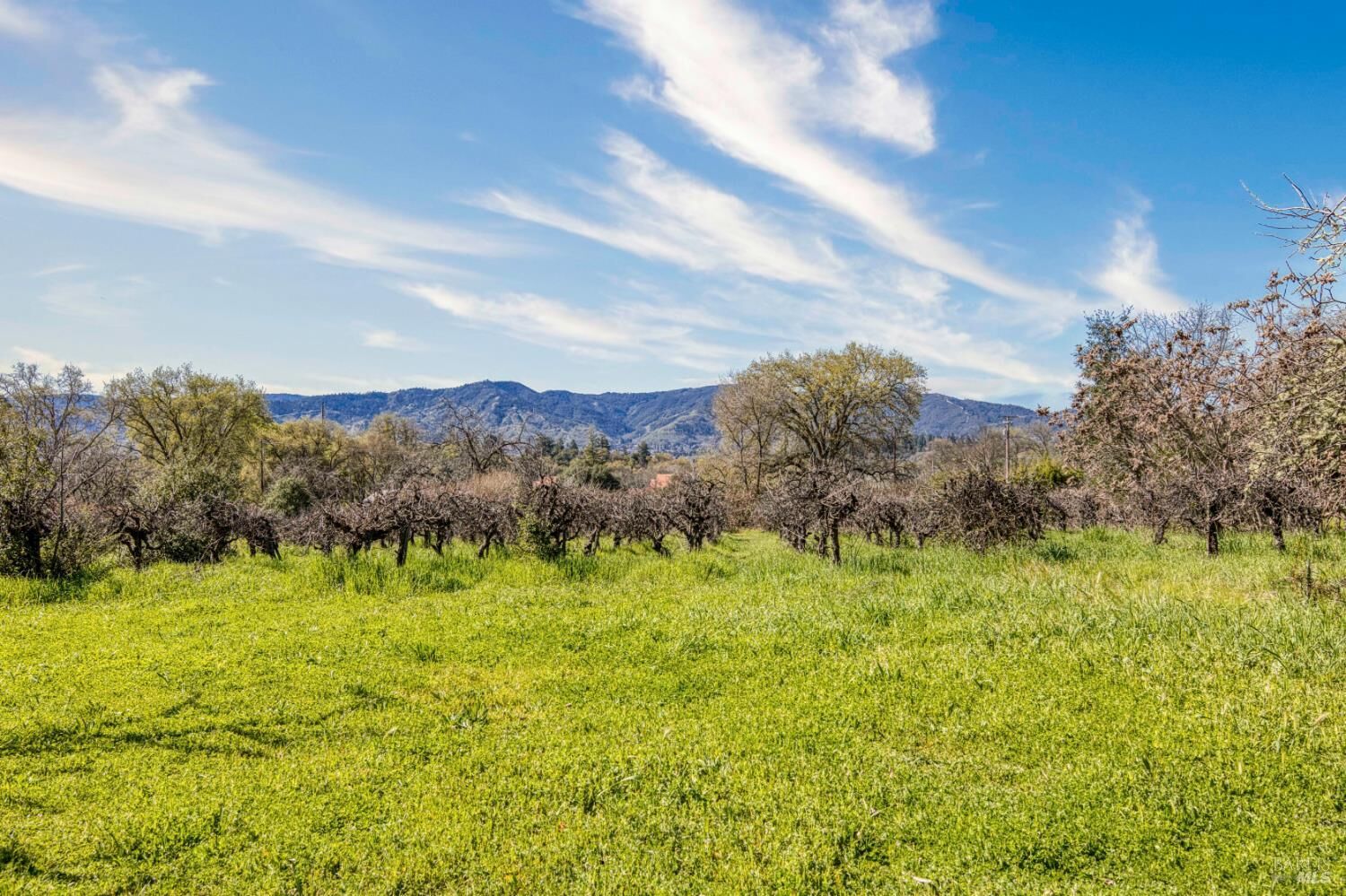 Property Photo: 2981 Guidiville Reservation Road CA 95482
