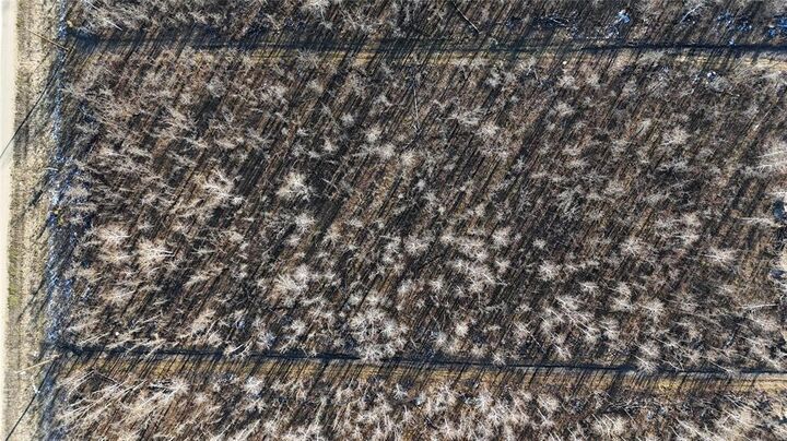 Property Photo:  6 Fuller Road  MB R0E 0M0 