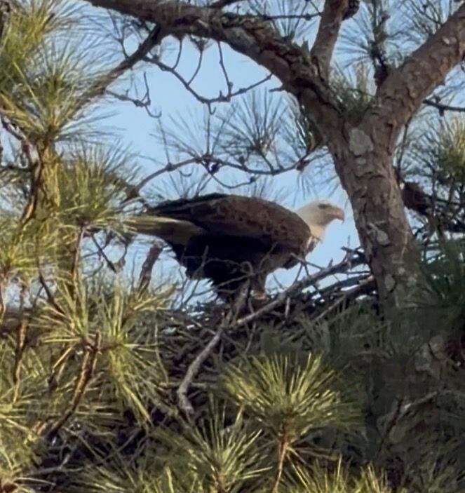 Property Photo: 2966 Riviera Drive NW GA 30012