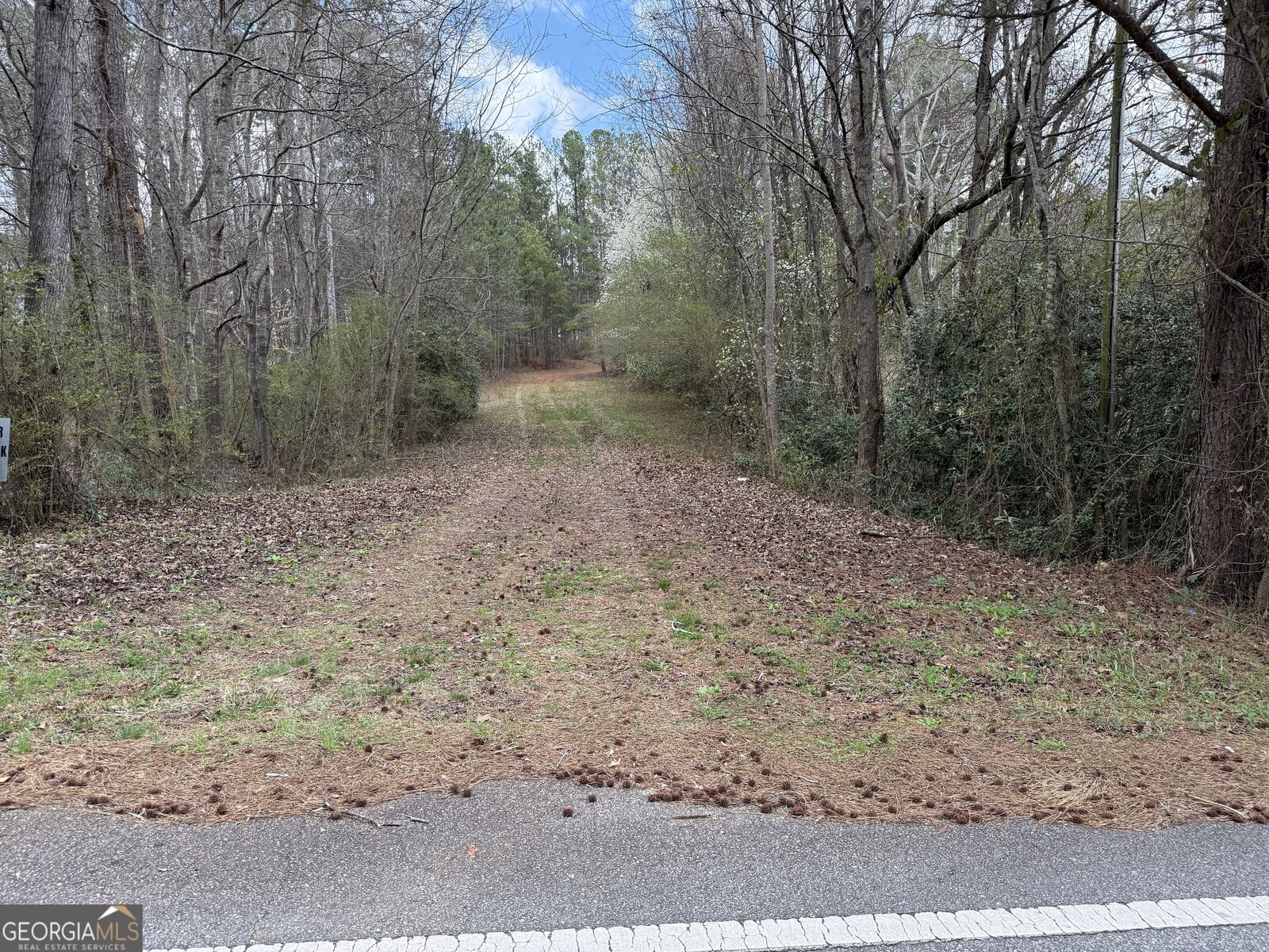 Property Photo:  0 Lowery Rd (3.94 Ac)  GA 30220 