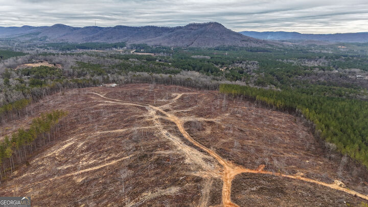 Property Photo:  557 Acres On Taliaferro Springs Road  GA 30730 