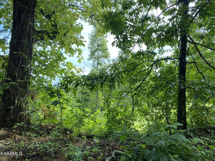 Property Photo: 4556 Huffine Rd TN 37774