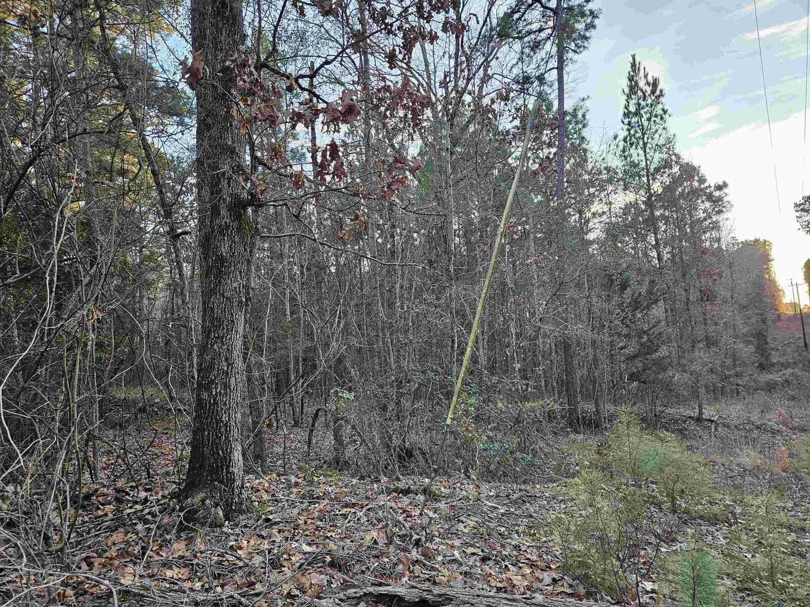 Property Photo:  9557 Fm 726  TX 76544 