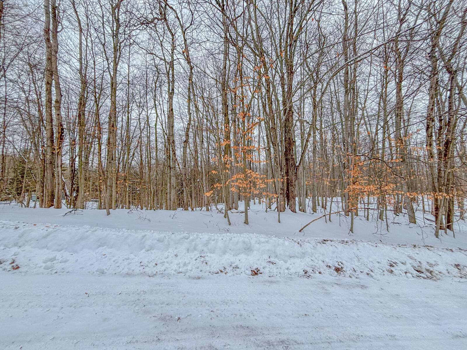 Property Photo:  12349 Wagon Wheel Trail  MI 49346 