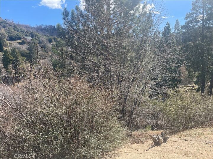 Property Photo:  0 Pine Drive  CA 92321 