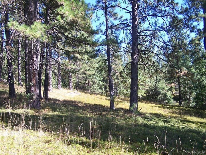 Property Photo:  0 Parcel B Armstrong Road  CA 95250 