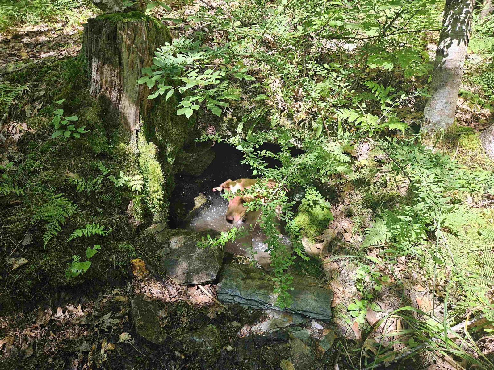 Property Photo:  Lot 3.2 Off Parker Road  NH 03585 