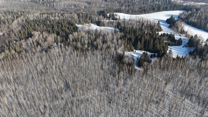 Property Photo:  12905 Township Road D  MN 55736 