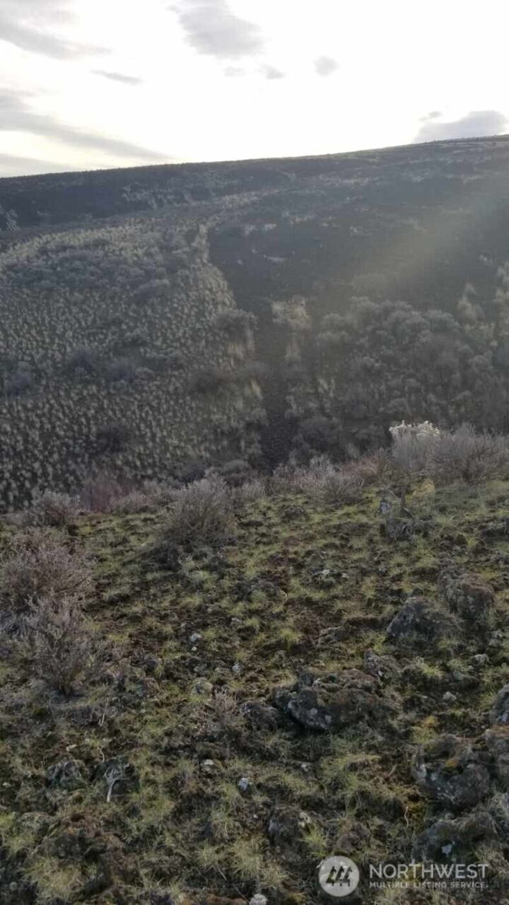 Property Photo:  0  George Way  WA 98901 