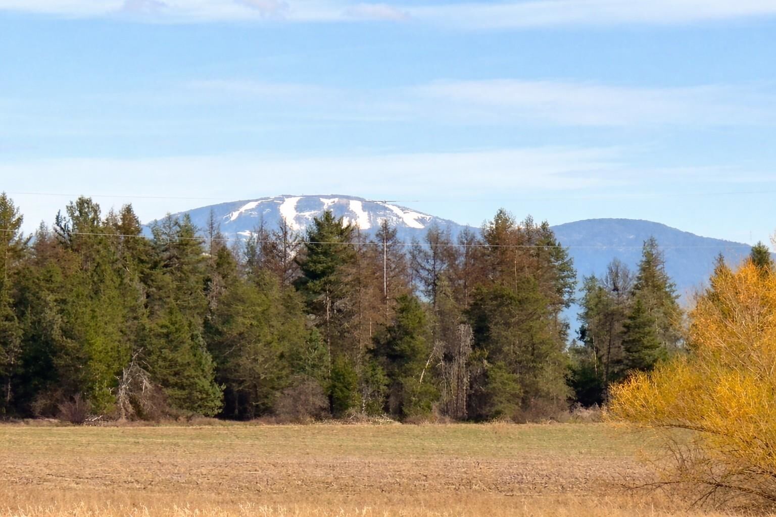 Property Photo: 413xx N Short Rd WA 99006