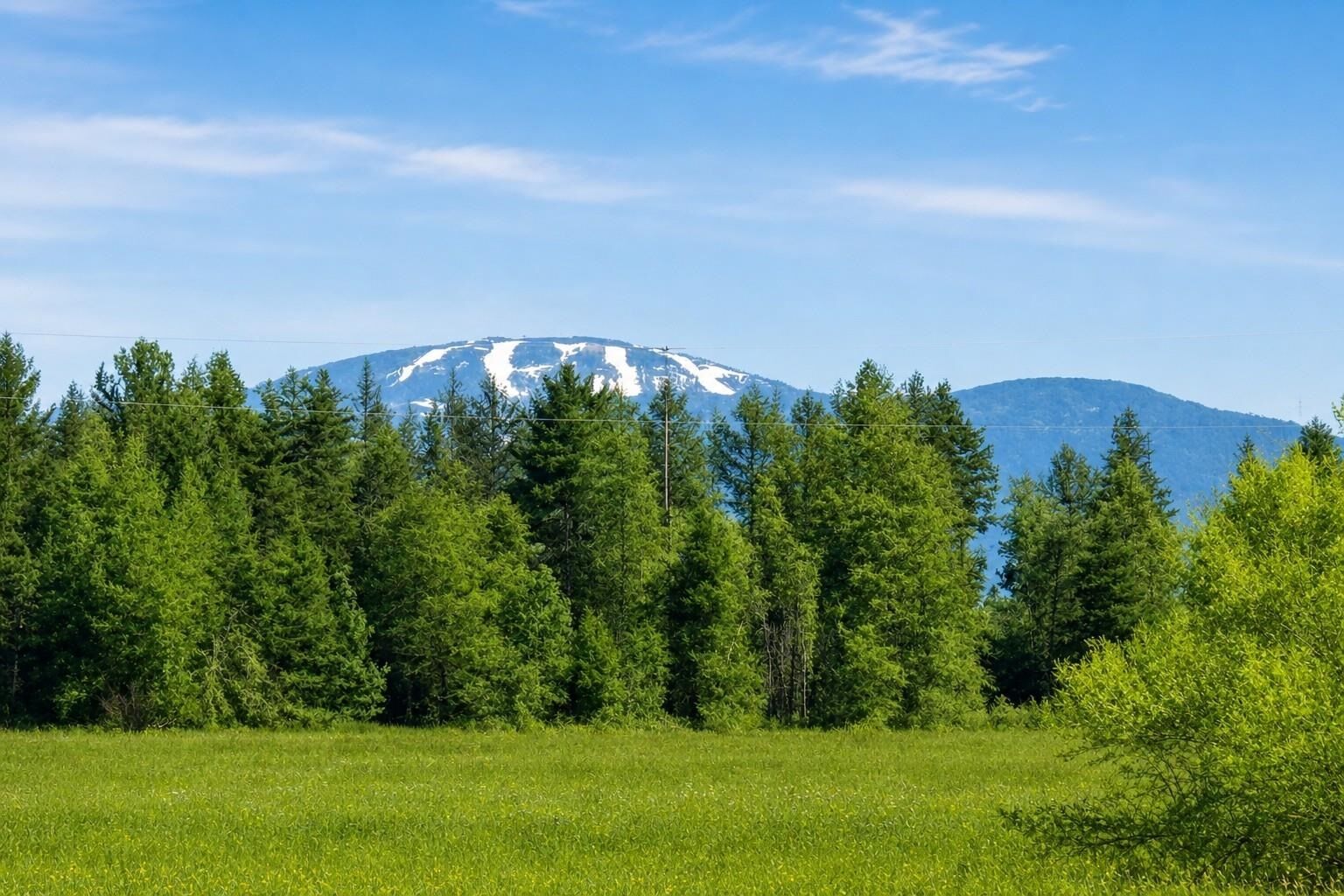 Property Photo:  413xx N Short Rd  WA 99006 