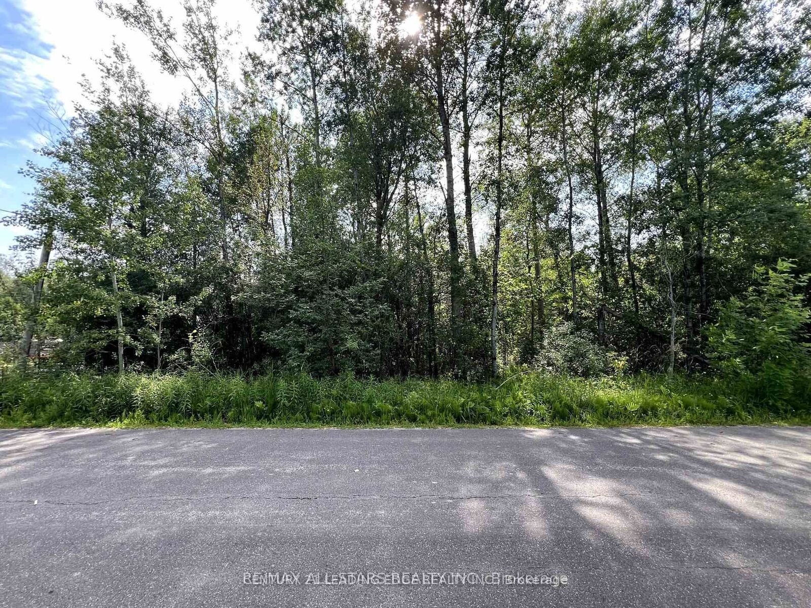 Property Photo: 34 Nicholson Drive ON L9P 1R2