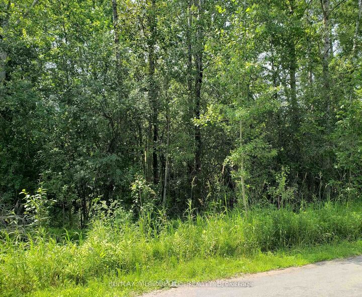 Property Photo:  32 Nicholson Drive  ON L9P 1R2 