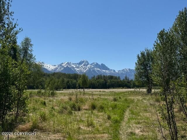 Property Photo:  15270 E Peacefull Lane  AK 99645 