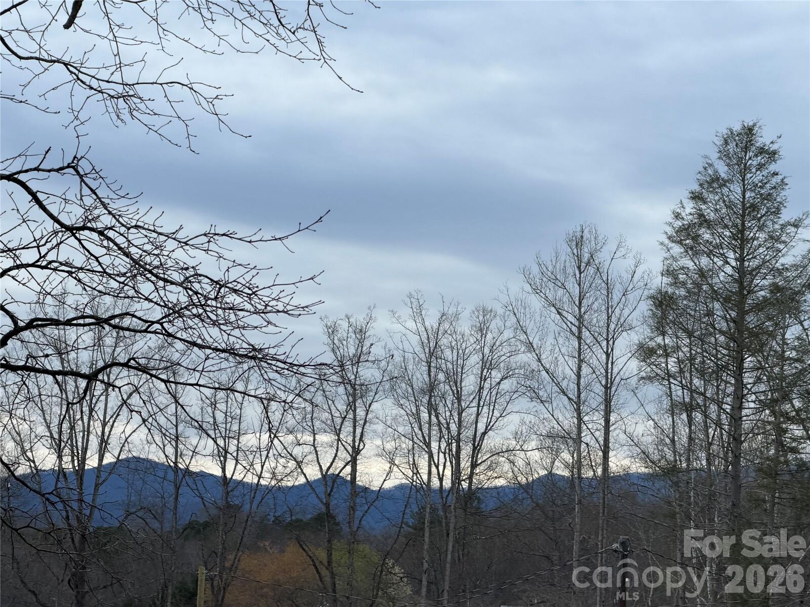 Property Photo:  000 Fox Road  NC 28762 