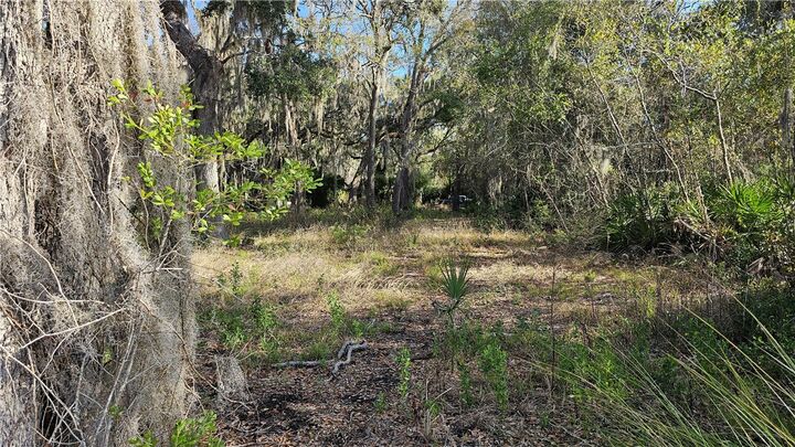 Property Photo:  304 Burford Road  GA 31523 