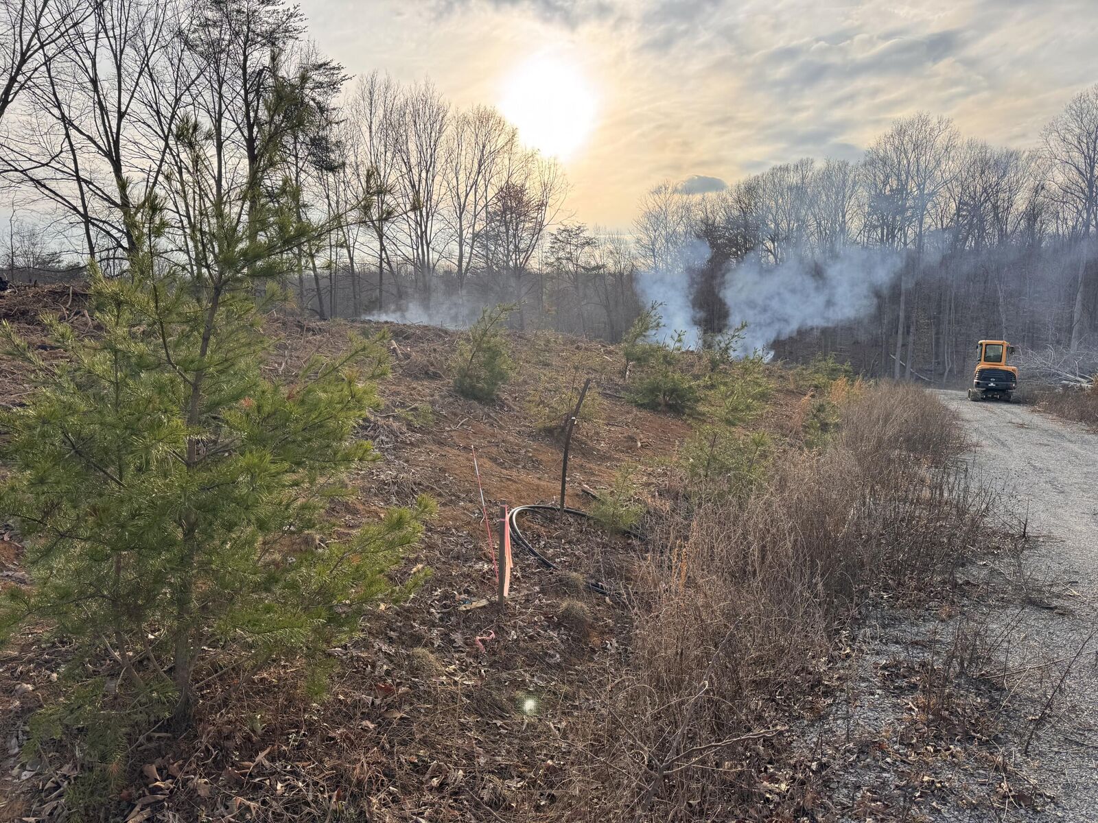 Property Photo:  100 Pine Hollow Rd  KY 42544 