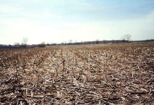 Property Photo:  31W255 Roosevelt Road  IL 60185 