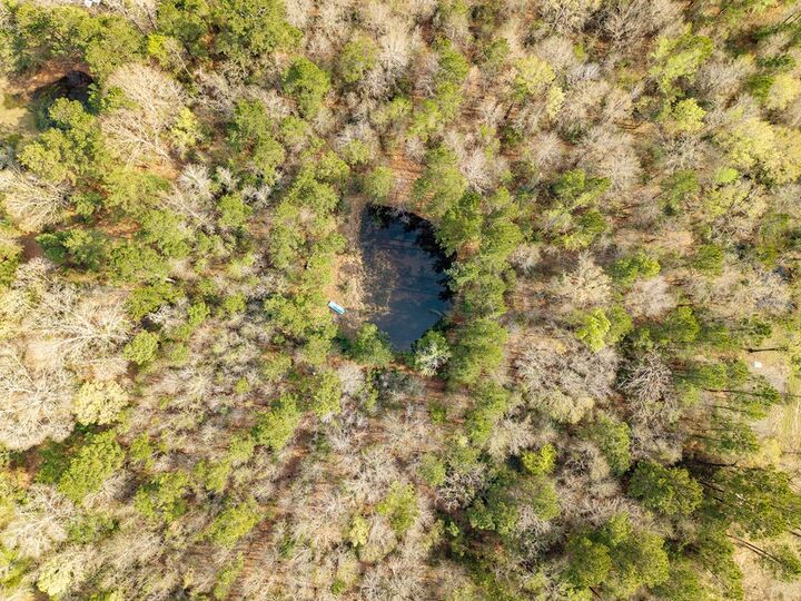 Property Photo: 2772 S Fm 1194 TX 75904