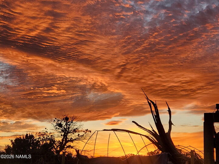 Property Photo:  7211 E Roper Lot C 12 Ac Circle  AZ 86046 