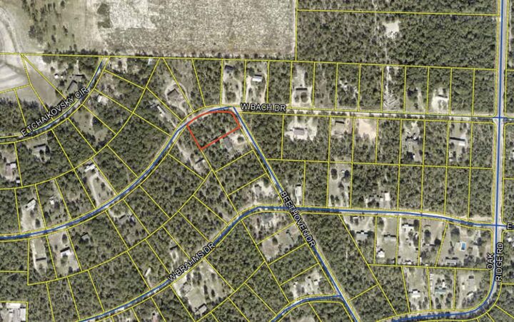 Property Photo:  Lot 13 Juniper Lake Estates  FL 32433 
