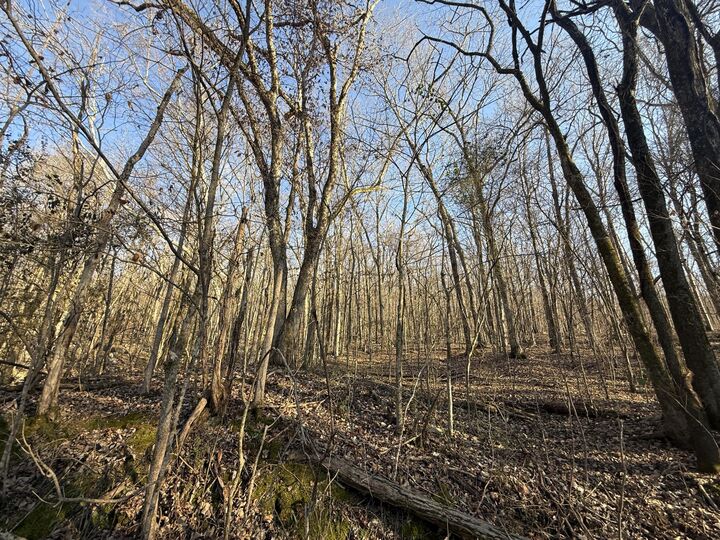 Property Photo:  0 County Rd 91  AL 35958 