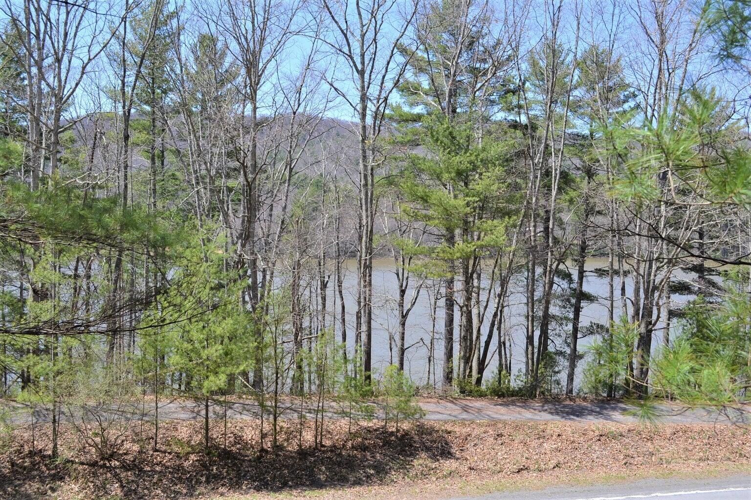 Property Photo:  Moncove Lake Rd  WV 24941 