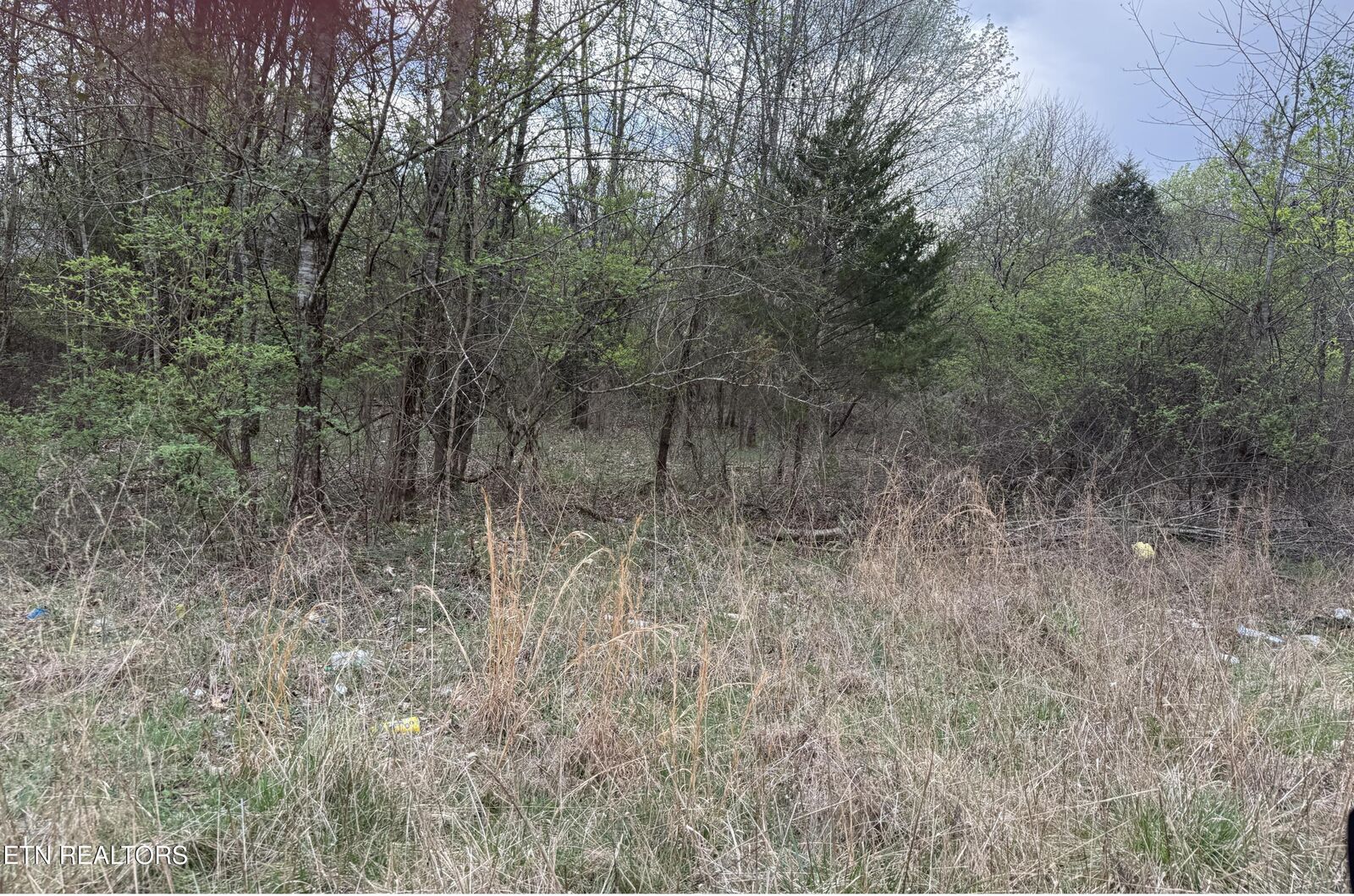 Property Photo:  175 Foxwood Drive Lot 10  TN 37763 