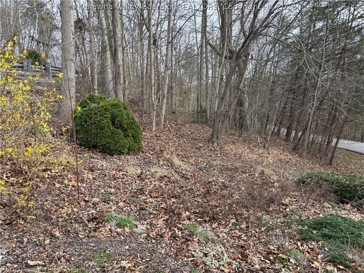 Property Photo:  0 A Stones Throw 27  WV 25177 