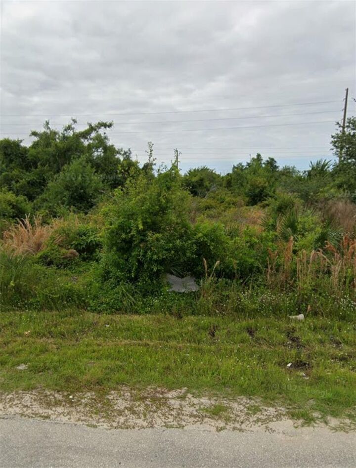 Property Photo:  12207 Tetzel Avenue  FL 33981 