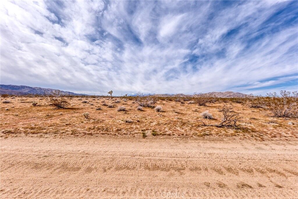 Property Photo:  147 Little Road  CA 92252 