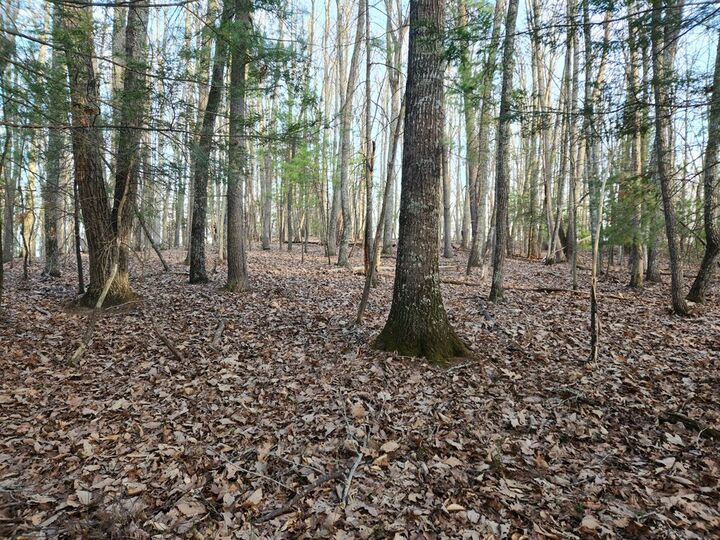 Property Photo:  101 Canyon Rim Ct.  WV 25979 