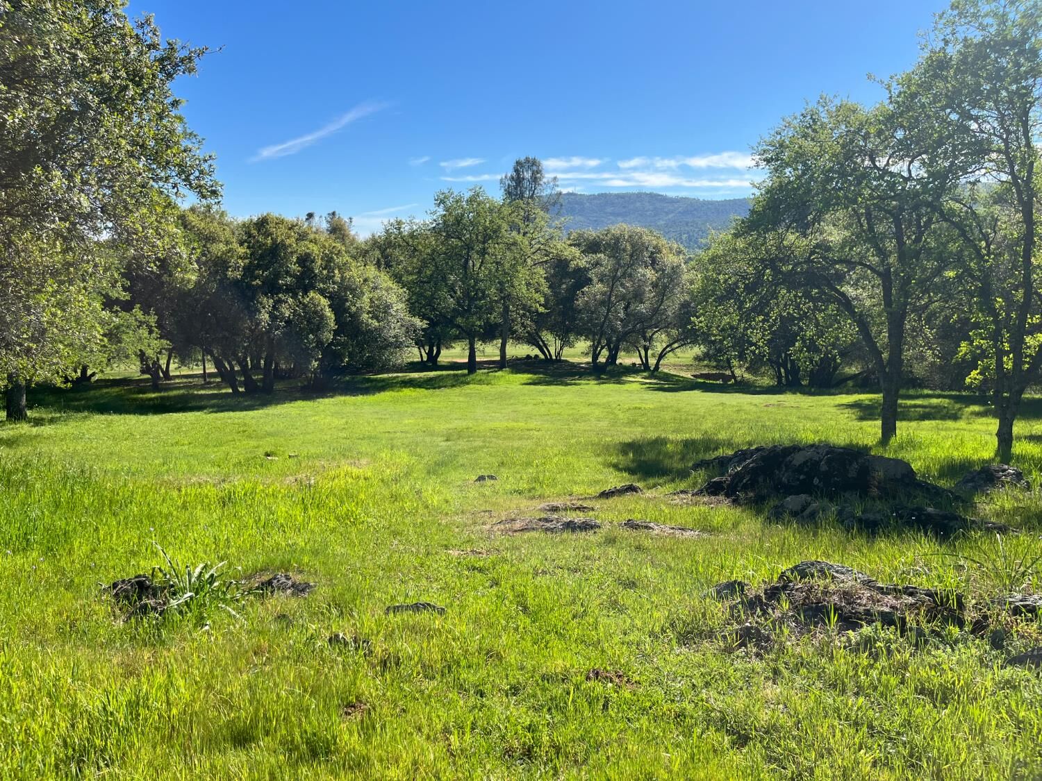 Property Photo: 255 Blair Mine Road CA 95222