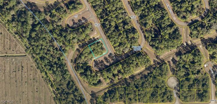 Property Photo:  433 Chelsea Loop  FL 33935 
